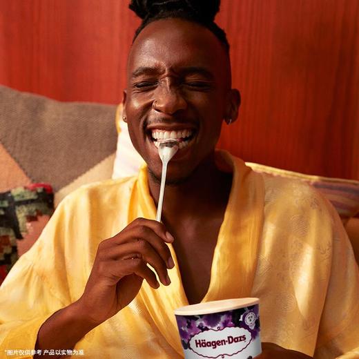 哈根达斯葡萄干朗姆酒冰淇淋75g/杯 商品图3