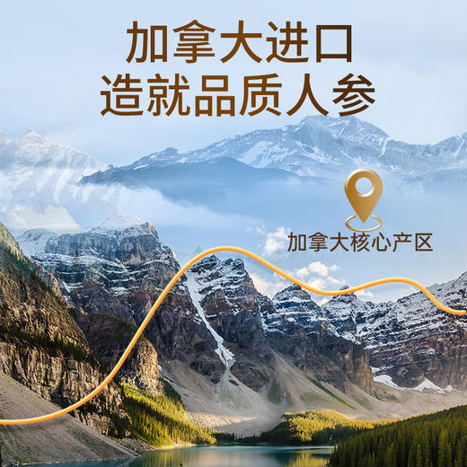 雷允上加拿大西洋参片120g（30g*4瓶）/盒 直径2-3cm 商品图9