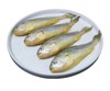 舟山野生小黄鱼（1斤8-9条） 商品缩略图0