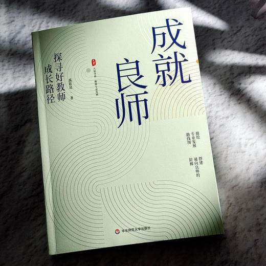 成就良师 探寻好教师成长路径 大夏书系 教师专业发展 禹跃昆 商品图4