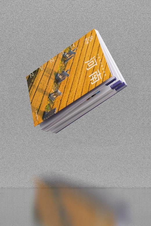 中国旅行体验指南·河南 商品图4