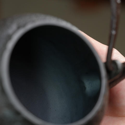 暗香疏影/铁壶/真形壶/手工无涂层铸铁壶烧水壶老铁壶茶壶 商品图3