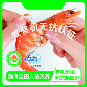 双有机熟冻盐田虾净重1.5kg