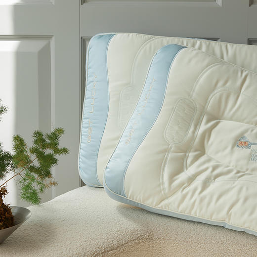 儿童学生壹举高粽护颈按摩枕芯枕头 商品图2