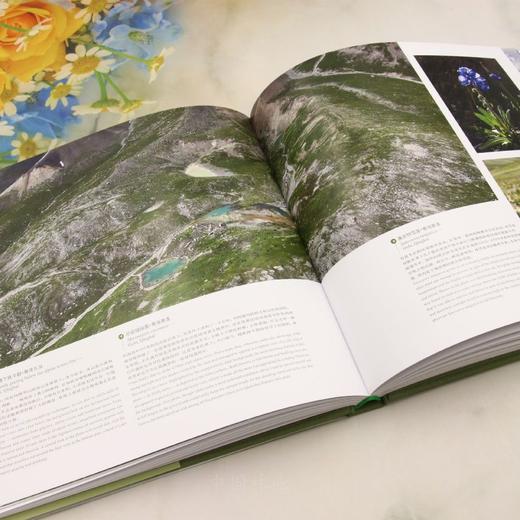 多样性的中国草原（一滴水生态摄影丛书） &2787 商品图3