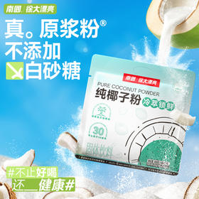 【南国食品】纯椰子粉308g