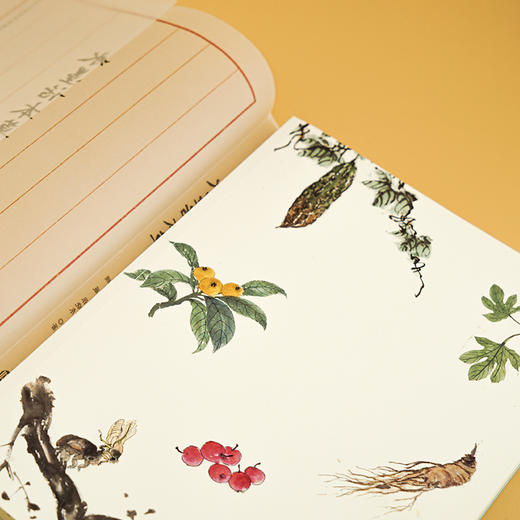 水墨话本草  顾薇 张晓东 著；黄健 绘 商品图3