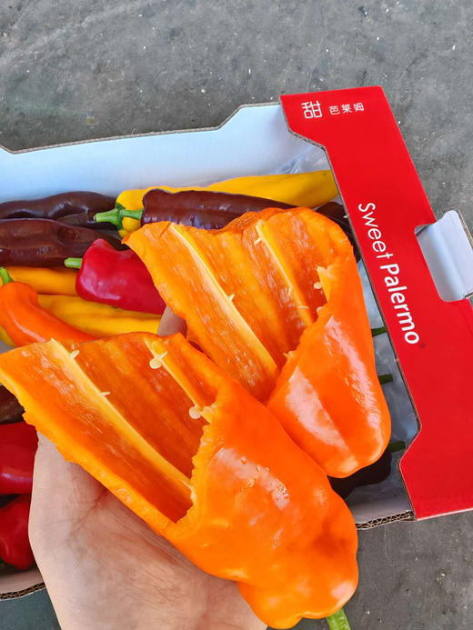 彩椒中的极品———巴莱姆甜椒🌶️
满满的维C，
无限回购！
3-4个颜色，5.5斤右右 商品图2