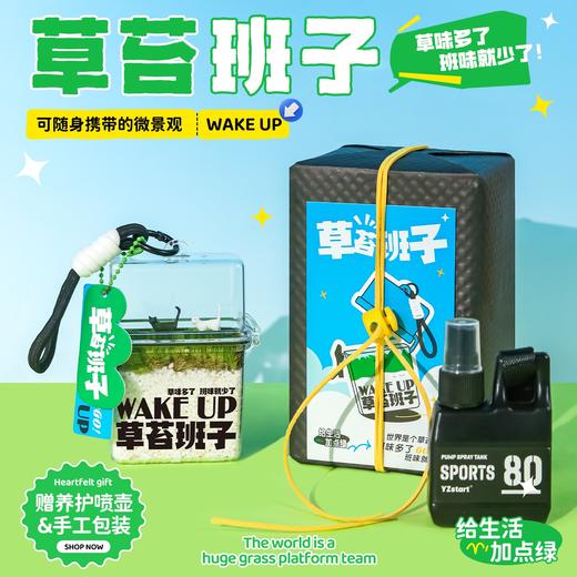 涂鸦造物办公室桌面绿植生日礼物教师节礼草苔班子 商品图0