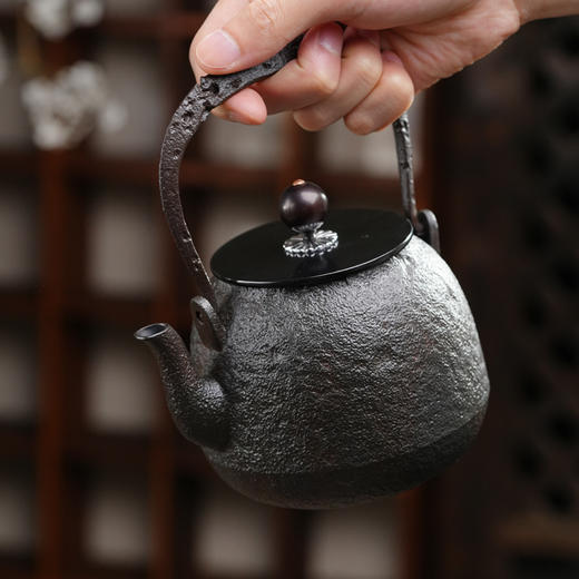暗香疏影/铁壶/真形壶/手工无涂层铸铁壶烧水壶老铁壶茶壶 商品图1