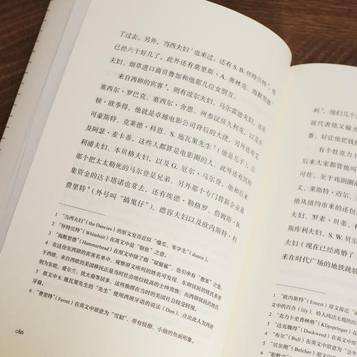 了不起的盖茨比丨 九读·好译本名著系列 商品图4