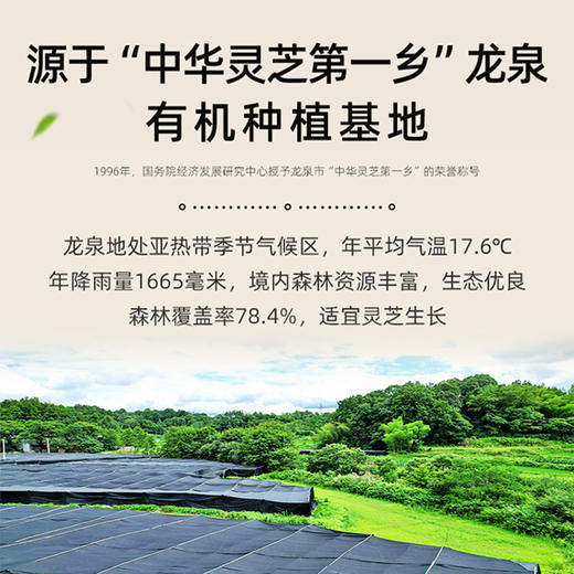 【买一送一】泓寿牌灵芝孢子油软胶囊（30粒/瓶/盒） 商品图3