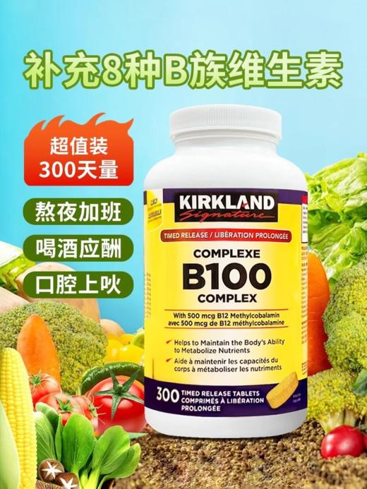 加拿大 KIRKLAND柯克兰复合B100 商品图0