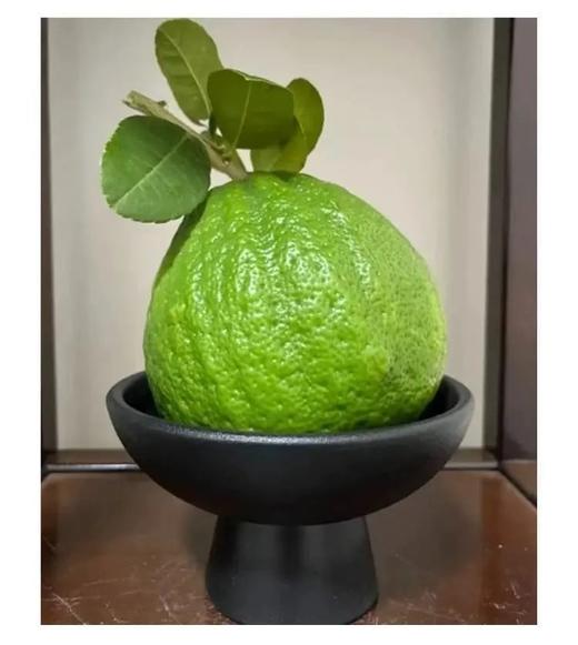 好看的香橼一果难求每一个都是精品青黄果期️待到金灿时香气更醇厚满屋飘香基地直邮 商品图6