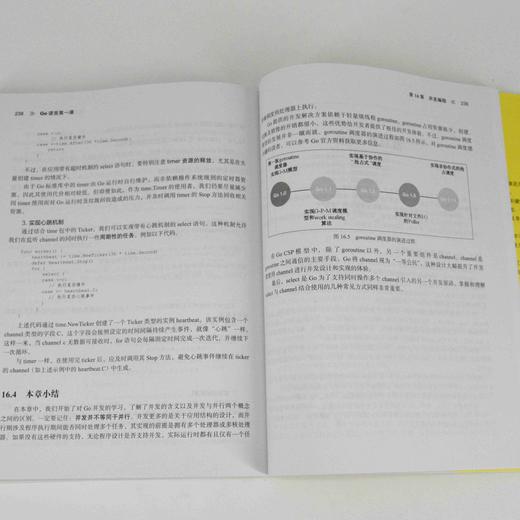 Go语言*课 go编程语言 Go语言开发 高并发设计 编程范式  工程实践 商品图4