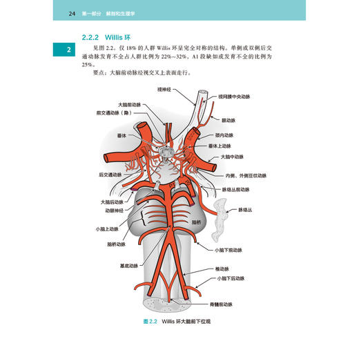 《神经外科手册（原著第10版）》 商品图2