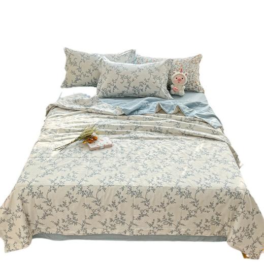 三泰龙 里外全棉新疆棉花芯春秋双人被【春秋被】 商品图4