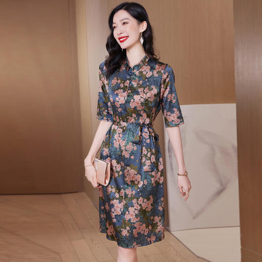 丁摩 重磅真丝连衣裙新款显瘦收腰桑蚕丝长裙子23025 商品图1