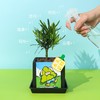 涂鸦造物办公室桌面绿植生日礼物教师节礼青松 商品缩略图2