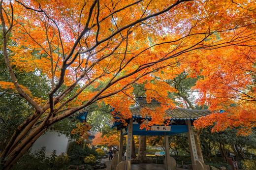 12.1确定出发【杭城秋摄CityWalk】秋日杭州建筑风光秋色7天精品摄影教学<航拍/相机> 商品图10