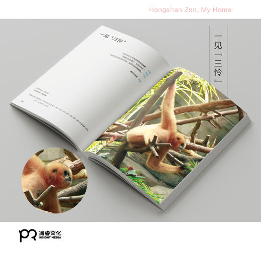 [博集]红山动物园是我家--“世界蕞美的书”得主朱赢椿和人气网红动物园园长沈志军联手打造，真实记录人和动物的温情故事。 商品图5