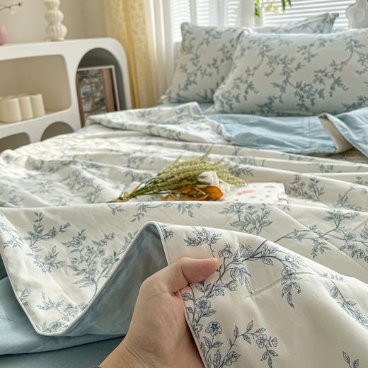 三泰龙 里外全棉新疆棉花芯春秋双人被【春秋被】 商品图1