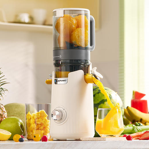 蓝宝大口径原汁机榨汁机BP-YJ02 商品图0