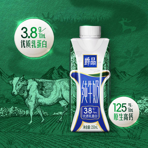 夏进梦幻盖爵品纯牛奶250ml×10瓶 商品图1