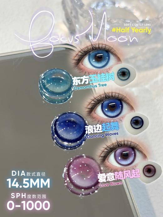 focusmoon半年抛 浪边起舞/东方玉桂树/爱意随风起 14.5mm 蓝绿紫 商品图0