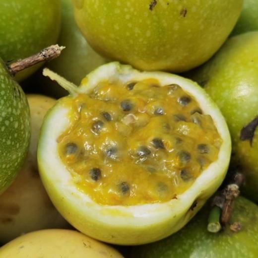 【礼盒装】海南钦蜜9号百香果 香甜多汁 海南钦蜜9号百香果 商品图1