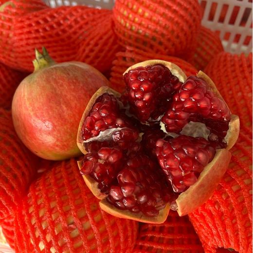 【顺丰直发】会理突尼斯软籽石榴礼盒装 晶莹剔透 颗粒饱满 商品图2