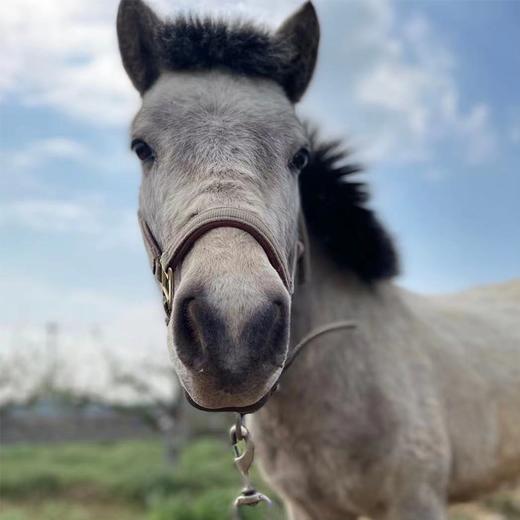 农场门票（赠68元农场美食消费券） 商品图6