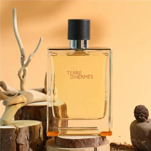 Hermes/爱马仕大地男士淡香水 50/100ml 商品图4