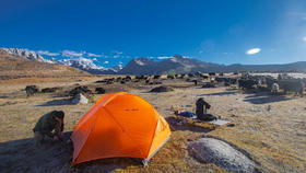 【课堂】露营后，如何储存帐篷能使用更长久？ 