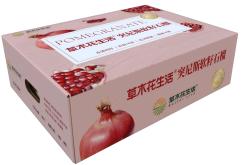 石榴2.5kg，单果300-400g
（6-8个装） 商品图0