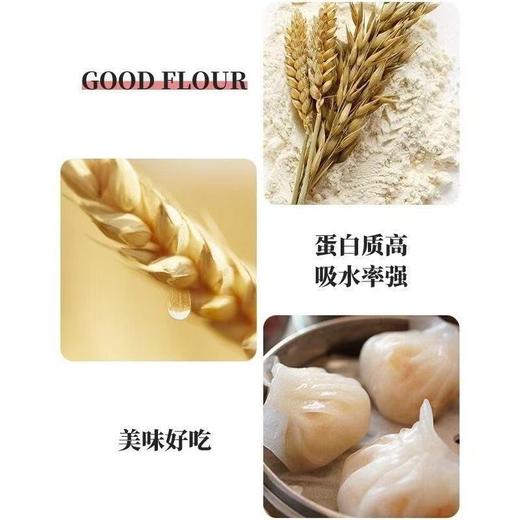 【YMHR】金沙河尊冠雪晶小麦粉7A 商品图1
