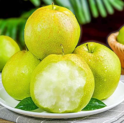 丹霞红梨 商品图0