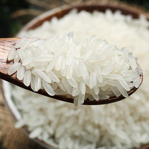 万年贡御馫猫牙香软米1kg 商品图1