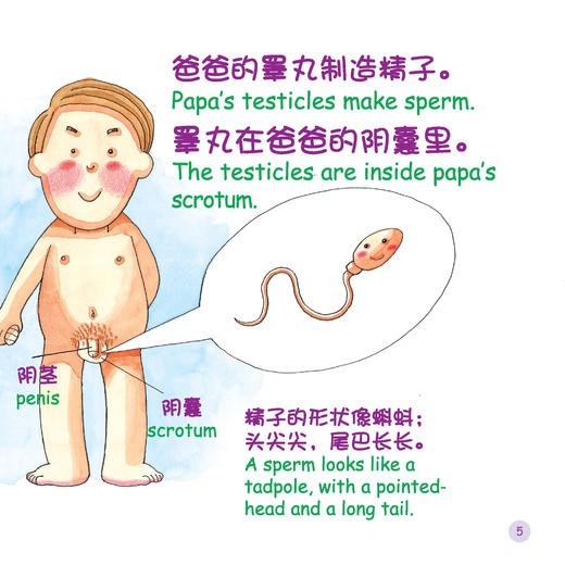 《德德家家幼儿性教育系列》（第八版全4册）中英文双语 商品图7