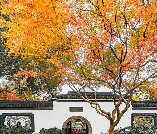 12.1确定出发【杭城秋摄CityWalk】秋日杭州建筑风光秋色7天精品摄影教学<航拍/相机> 商品图14