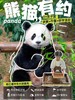 1人成团【都江堰-熊猫有约一日研学】走进大熊猫别墅，“熊猫青团”非遗造纸术，化身熊猫营养师，制作熊猫窝窝头，含大熊猫荣誉证书 商品缩略图0