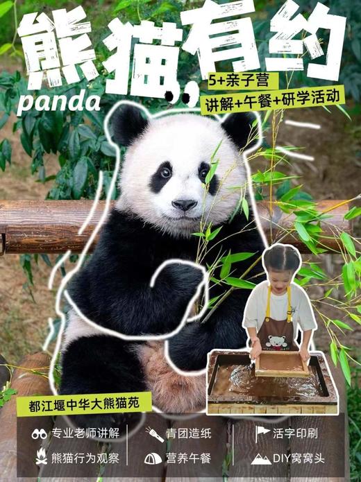 1人成团【都江堰-熊猫有约一日研学】走进大熊猫别墅，“熊猫青团”非遗造纸术，化身熊猫营养师，制作熊猫窝窝头，含大熊猫荣誉证书 商品图0