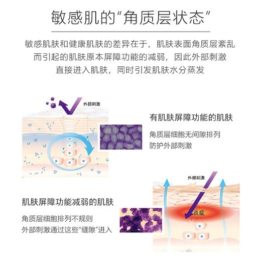 Decencia 黛世希 高保湿修护佑润面霜R1 30g 加倍滋润 商品图2