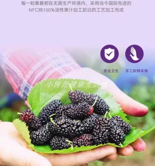 桑葚果汁冷压榨NFC饮料非浓缩还原 商品图1