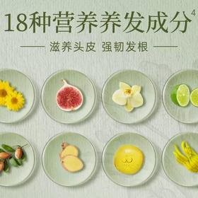 Na奈十八本洗发水护生姜洗发露洗护发洗发水香氛呵护菁华全固发防脱洗发水(铂金版)