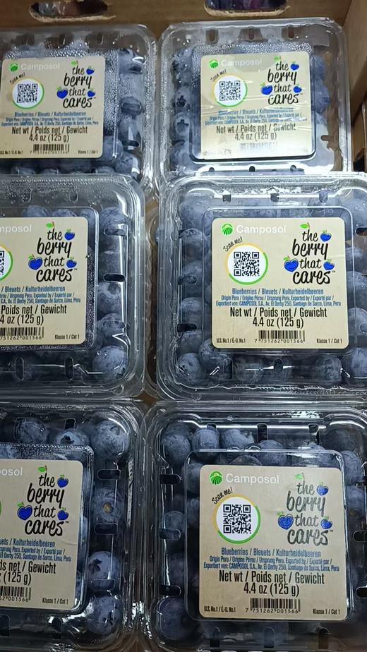 进口蓝莓一盒【FY】 商品图0