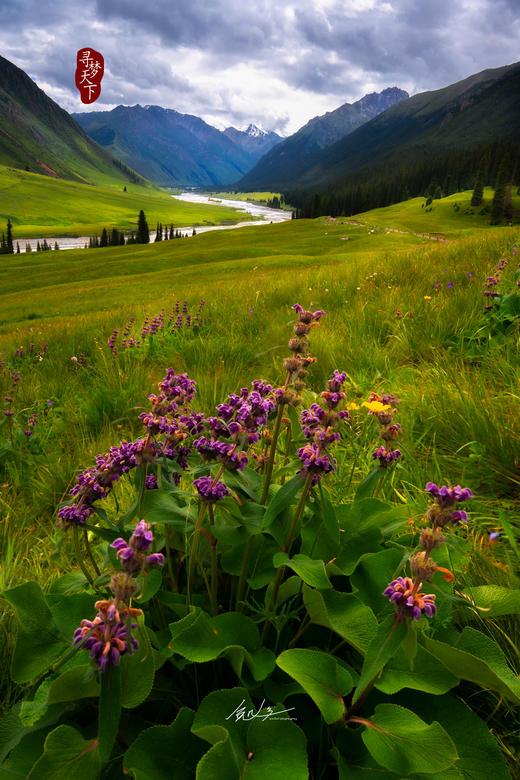 （越野车）新疆·夏季 最美独库公路+S101丹霞地貌  / 天山石林 / 峡谷秘境10天摄影团（草原、花海、雪山、冰川） 商品图6