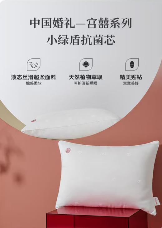 10楼 梦洁 抗菌艾草超柔对枕：枕上喜事50*70*750g吊牌价999活动价299 商品图3