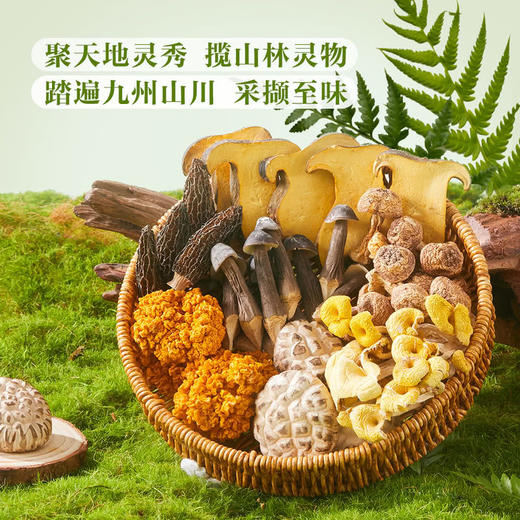 MM 山姆 Member's Mark 丛山觅珍菌菇礼盒 628g 商品图2