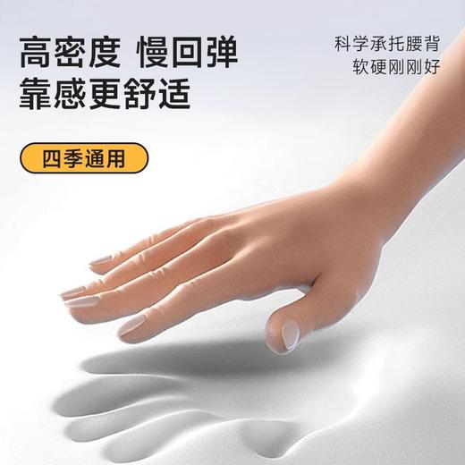 【168元会员福利】BKT人体工学护腰坐垫  久坐支撑   商品图3